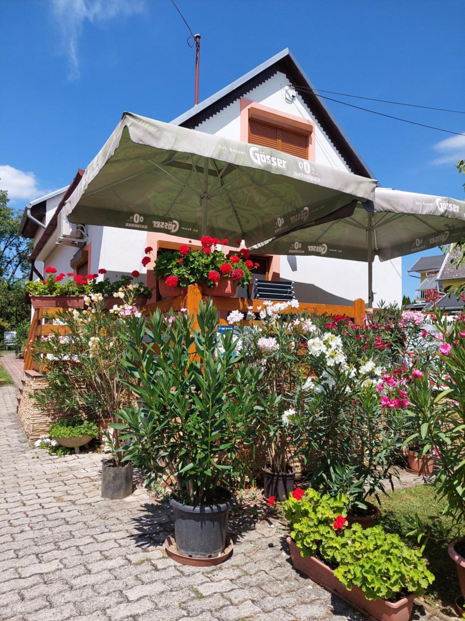 Lonci Apartman Zalakaros Ngoại thất bức ảnh